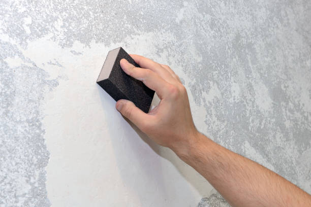 Best Commercial Mold Inspection  in Cochran, GA