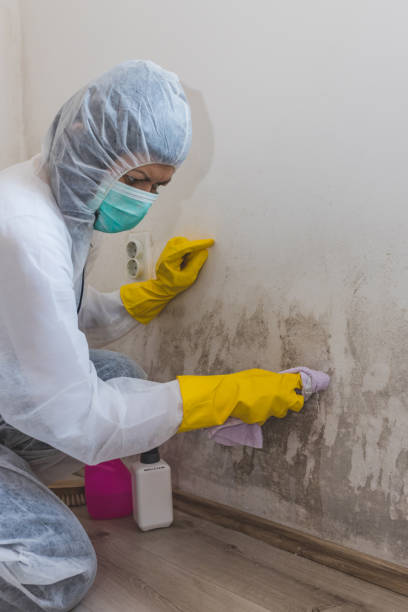 Best Dehumidification Services  in Cochran, GA