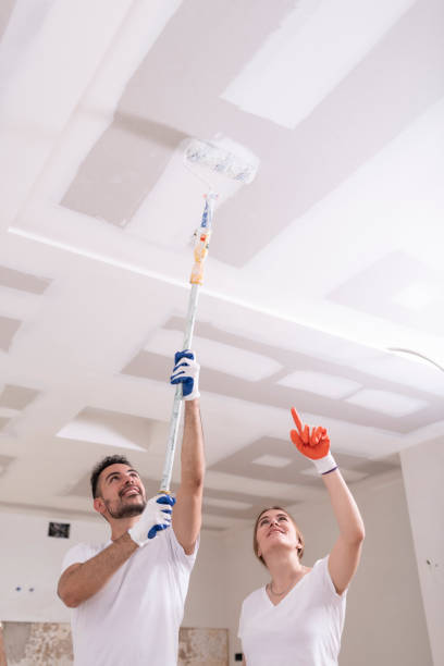 Best Attic Mold Removal  in Cochran, GA