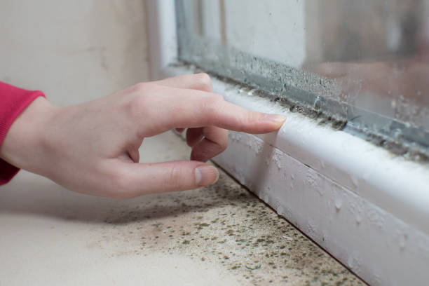 Best Mold Odor Removal Services  in Cochran, GA