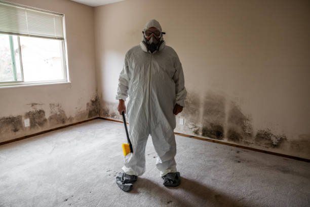 Best Comprehensive Air Testing for Mold Contaminants  in Cochran, GA